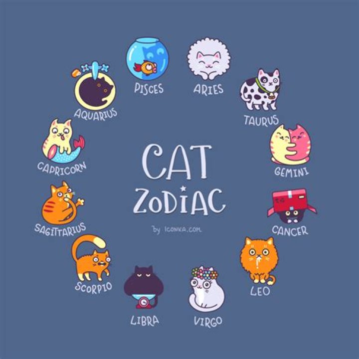 Feline zodiac symbol