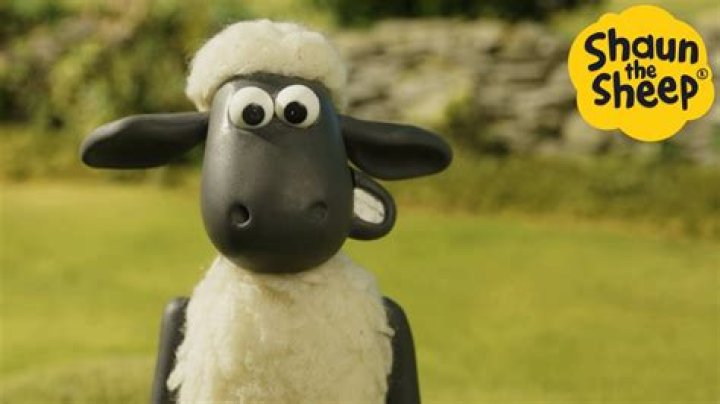 Female animal like Shirley in Shaun the Sheep