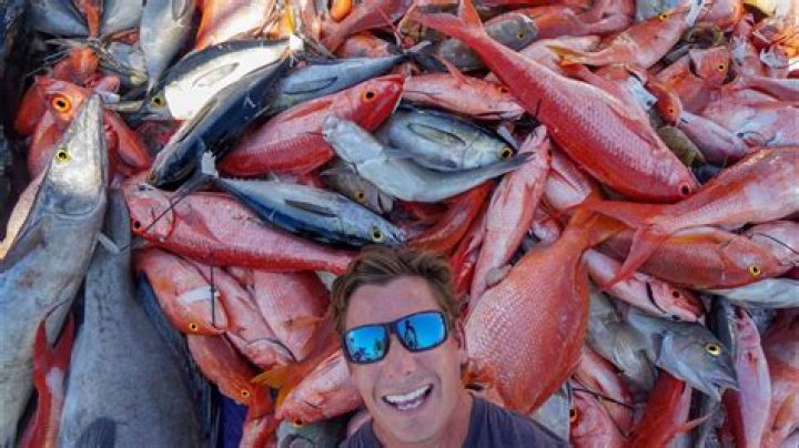 Fish that can be over 13 feet long