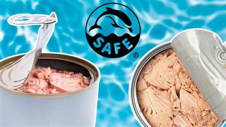 Fish that's often sold with the claim dolphin-safe