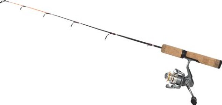 Fishing pole