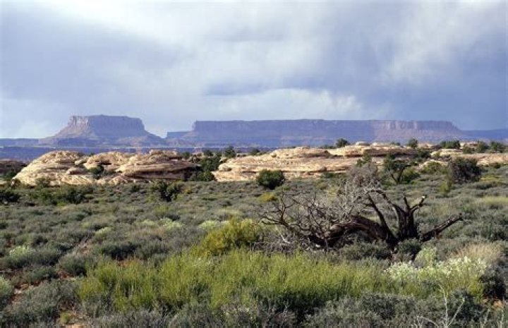 Flat-topped plateau common in the American southwest