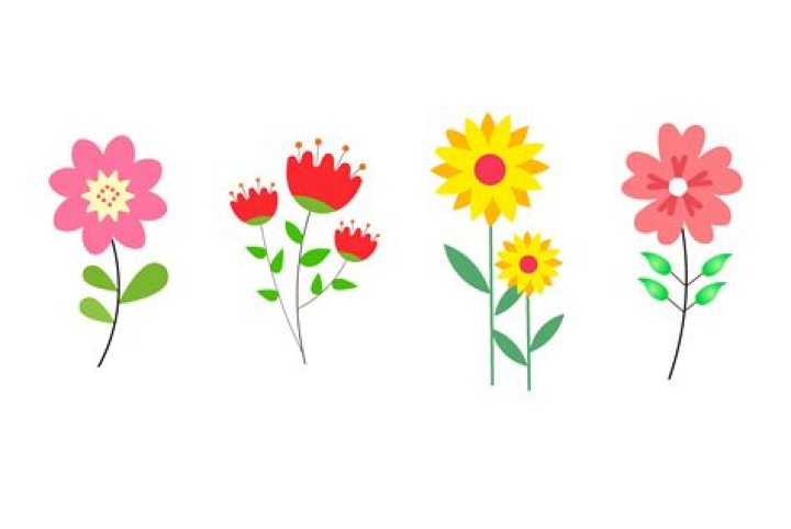 Flower that hasn't yet opened