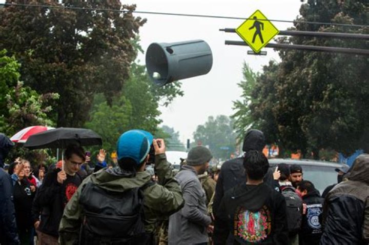 Fluid often described as indelible