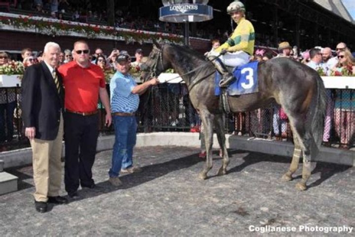 Former NFL coach Parcells