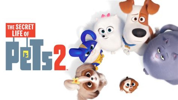 Former SNL comedian who voices the pug Mel in The Secret Life of Pets films: 2 wds.
