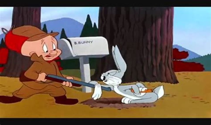 Fudd who hunts Bugs Bunny