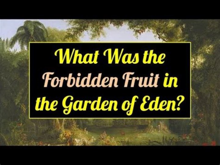 Garden where the forbidden fruit grew