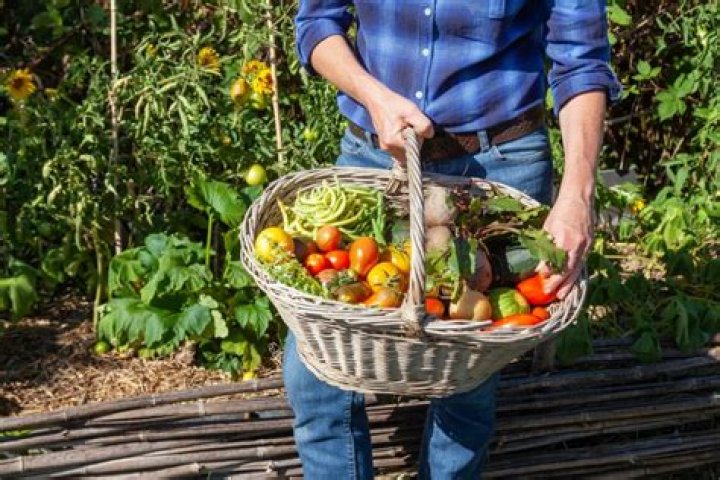 Gather up the harvest