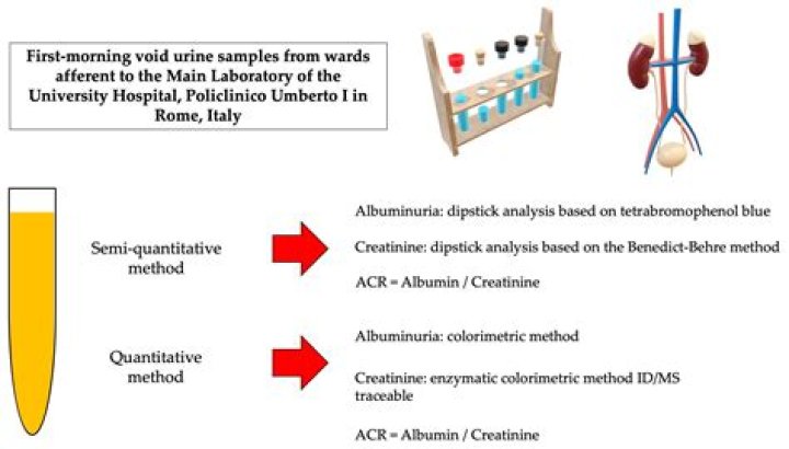 Genetic material assessed by 23andMe: Abbr.