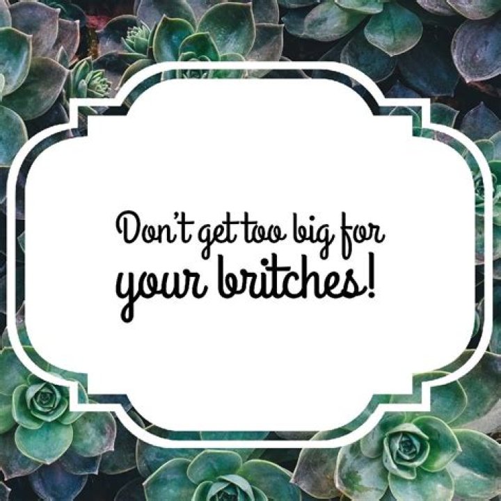 Get ___ big for your britches