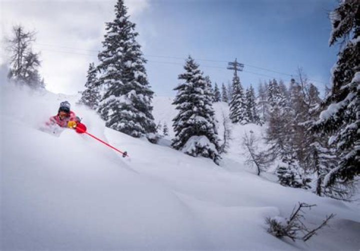 Glide down powdery slopes