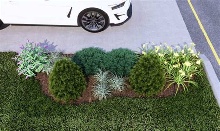 Grassy area next to a driveway