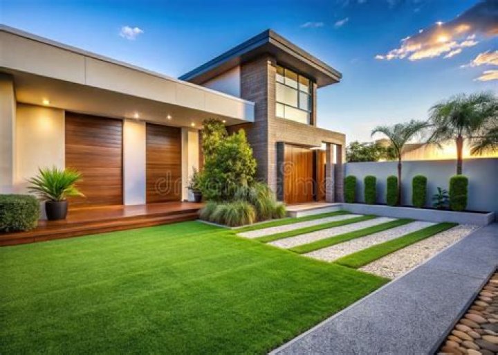 Green expanse in a yard