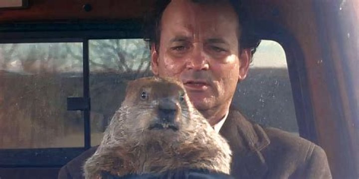 Groundhog Day star Murray