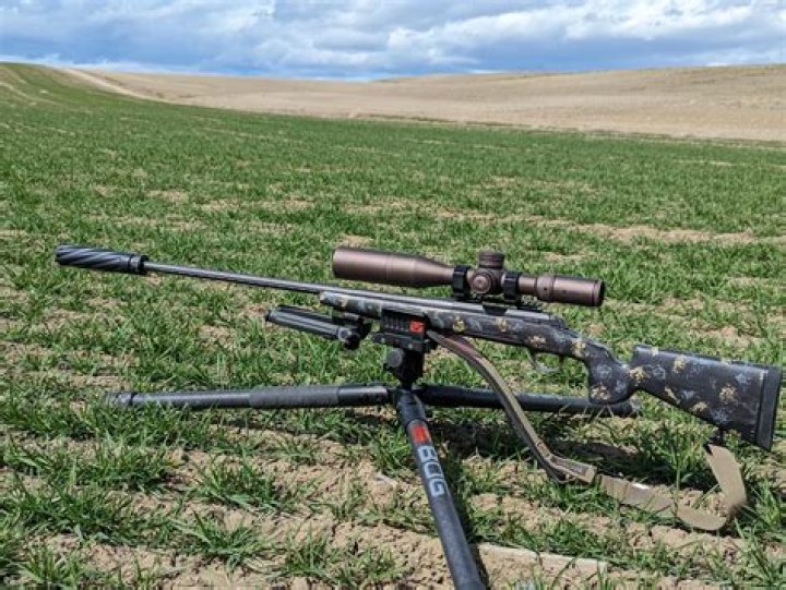 Group for firearm enthusiasts: Abbr.