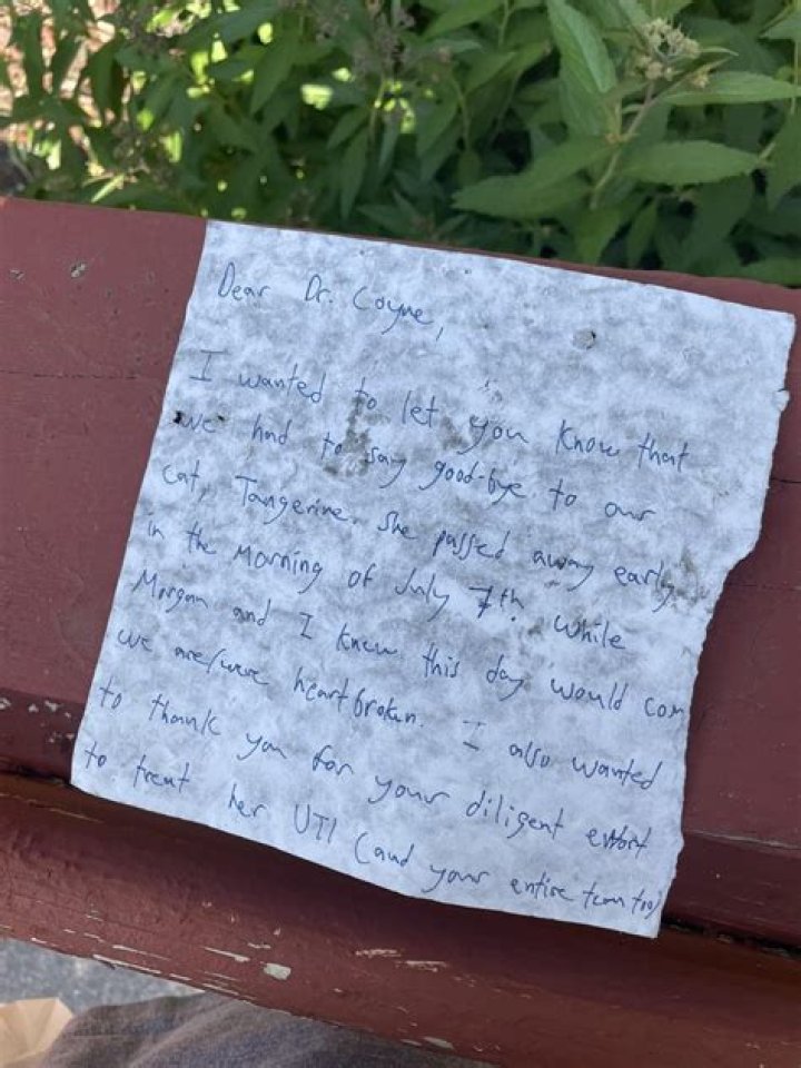 Had a good cry Crossword Clue