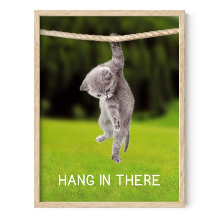 Hang ___ (keep): 2 wds.