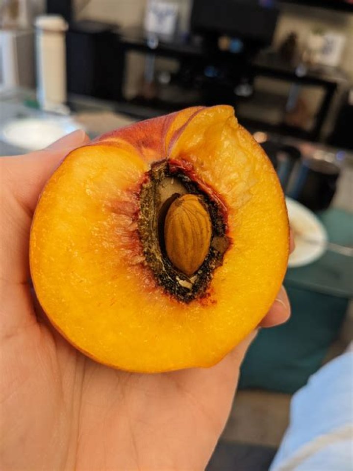 Hard seed inside a peach