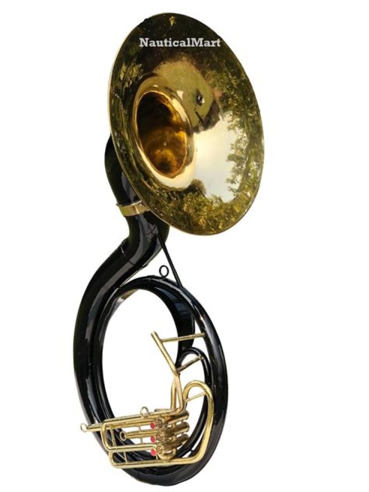 Hard-to-carry brass instrument