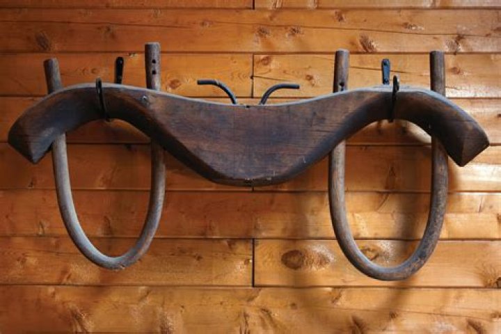 Harness for a pair of oxen