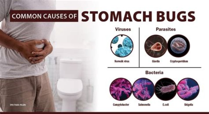 Have a stomach bug perhaps