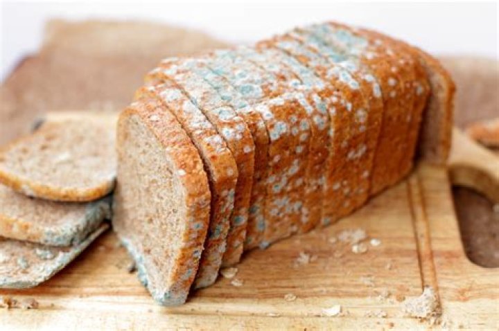 Have a taste: 2 wds.