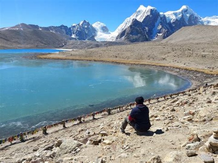 Have it made in the ___ (have an easy life)