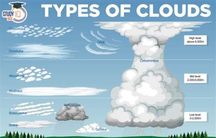 Have your ___ the clouds: 2 wds.