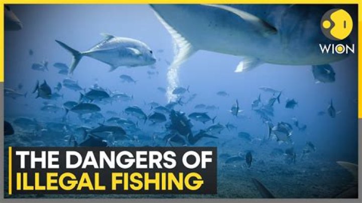 Help in illegal activities