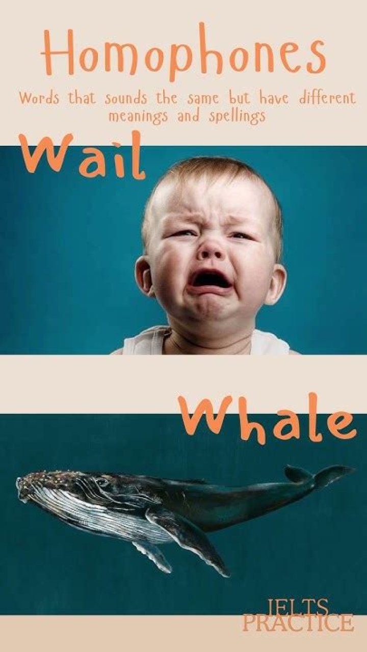 Homophone of whale