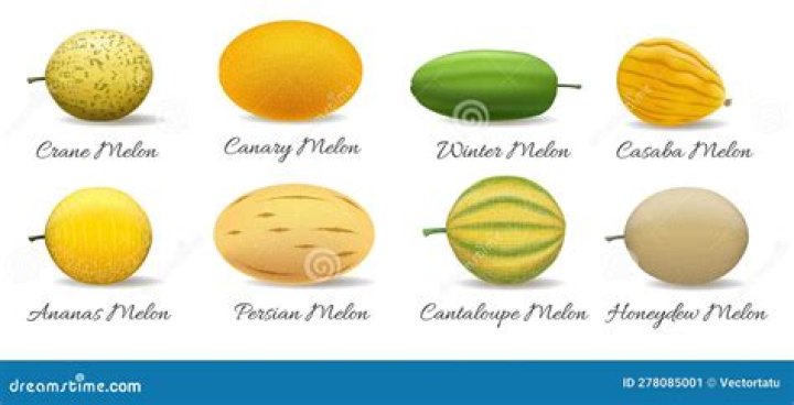 Honeydew and casaba for example