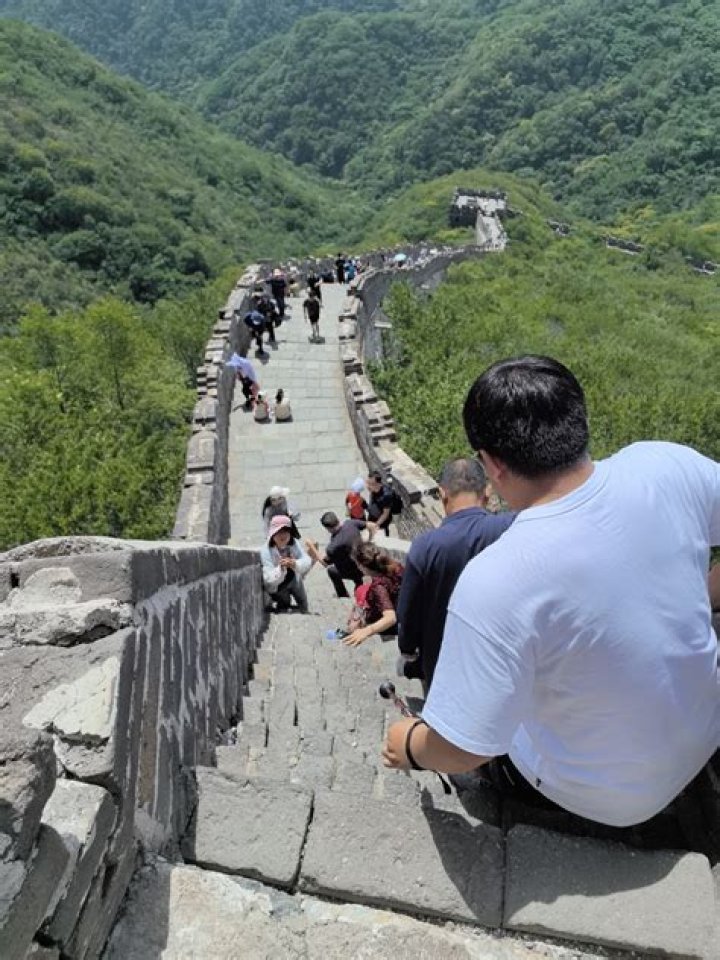 Hospital section for critical cases: Abbr.