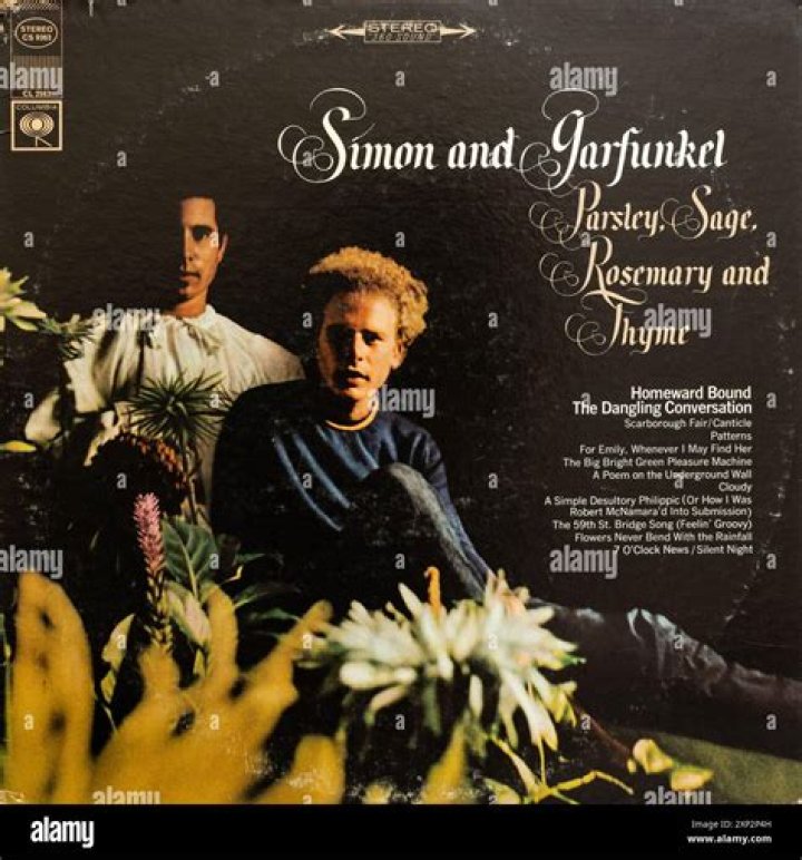 I ___ Rock (1966 Simon & Garfunkel hit): 2 wds.