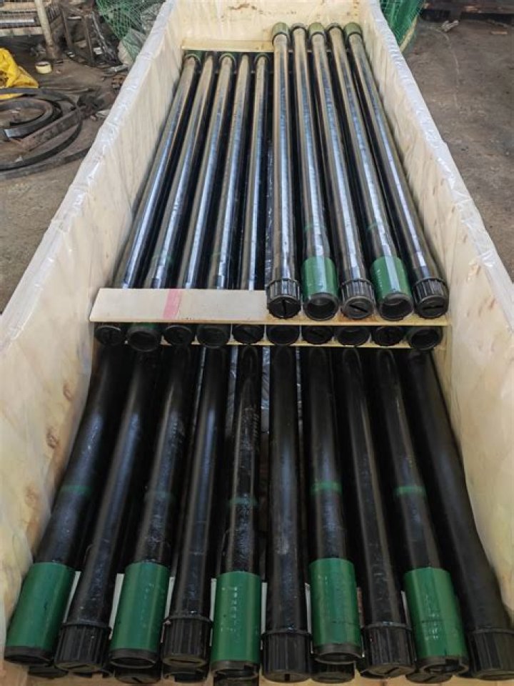 ID worn by a pup: 2 wds.