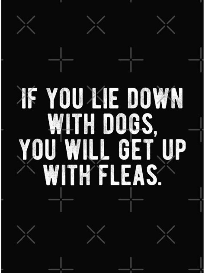 If you ___ down with dogs you get up with fleas