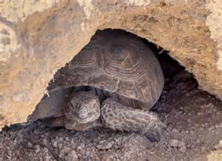 In the immediate area