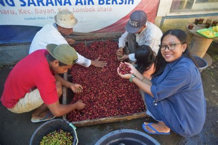 Indonesian island or coffee