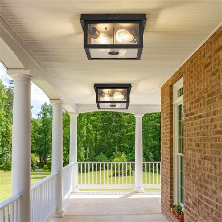 Insect drawn to a porch light