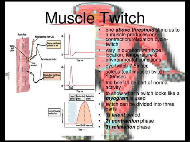 Involuntary muscle twitch