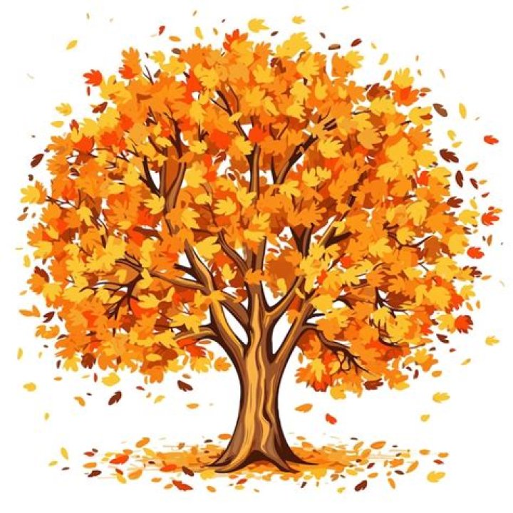 It might fall from a tree in autumn