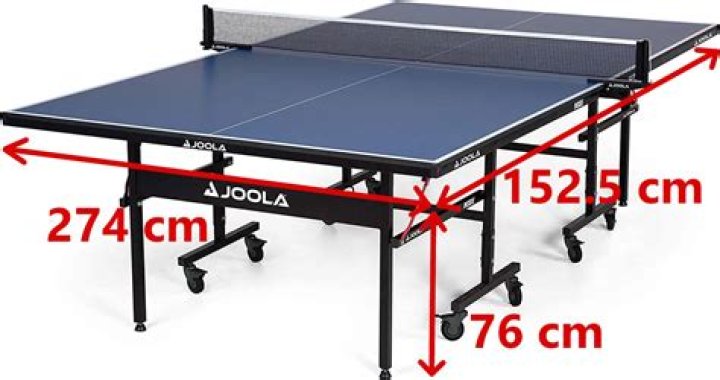 Item in the center of a Ping-Pong table