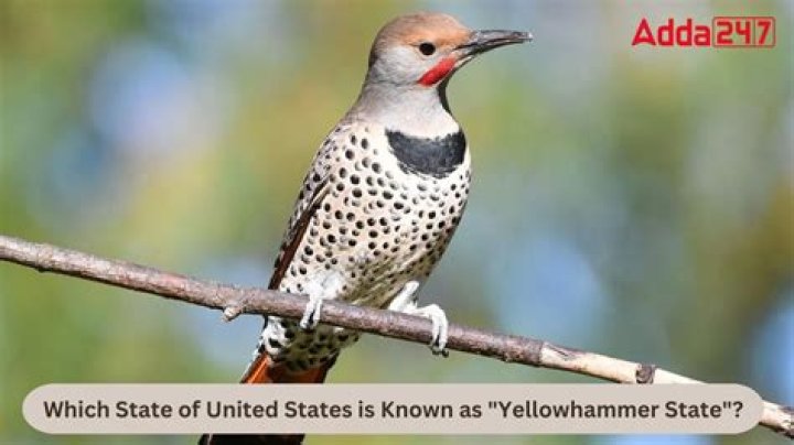 Its nickname is the Yellowhammer State: Abbr.