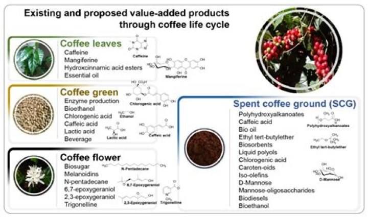 It's often added to coffee