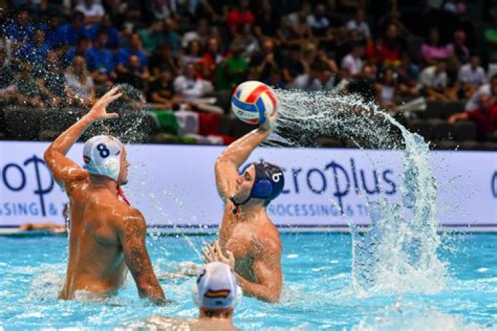 Jai ___ (fast-moving sport)