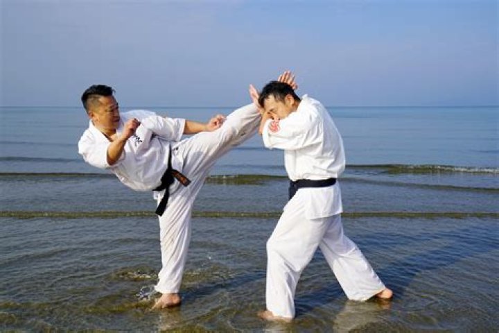 Japanese martial art