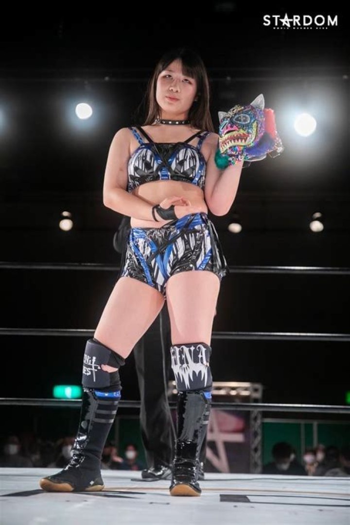 Japanese wrestling style