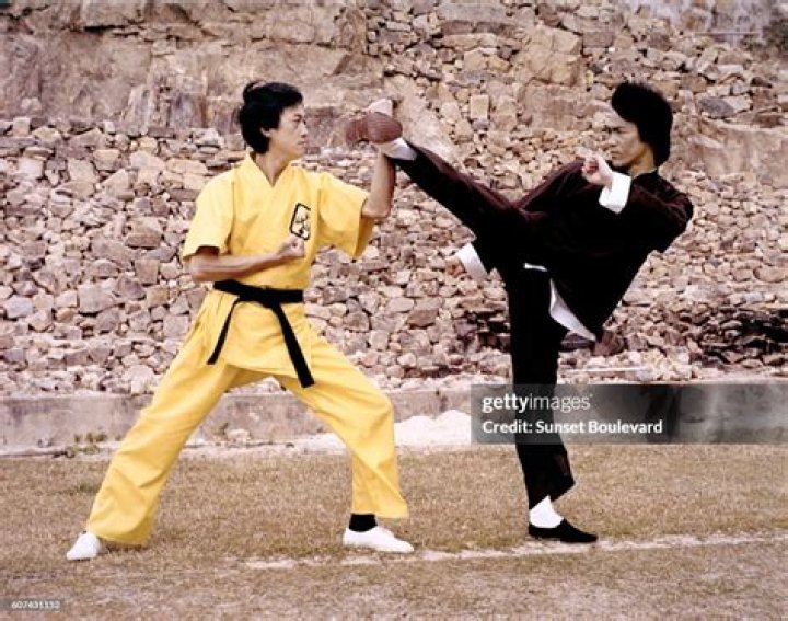 Kung Fu master Bruce