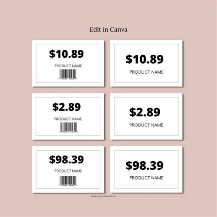 Label that carries an item's price
