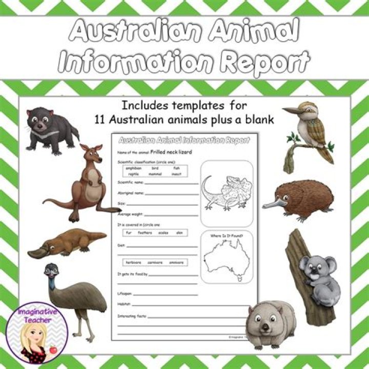 Large Australian animal for short